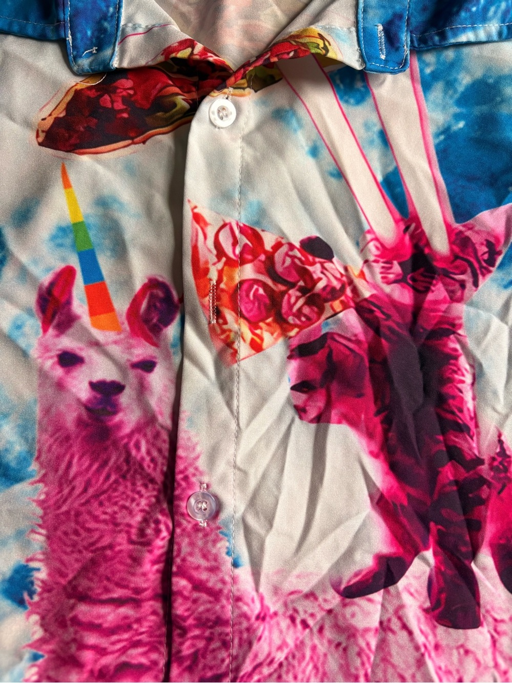 Bright Animal Graphic Button-Up Shirt tacos llama cat pizza
